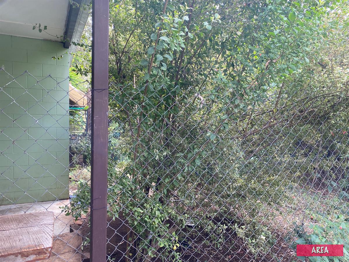 Property Sale at 293 Millstream Parade, Ravenshoe QLD, 4888 Area Real