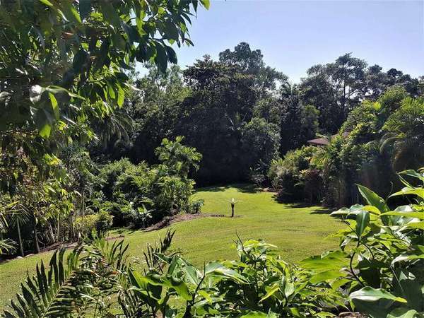 38A Granadilla  Drive, Earlville - Thumbnail 5