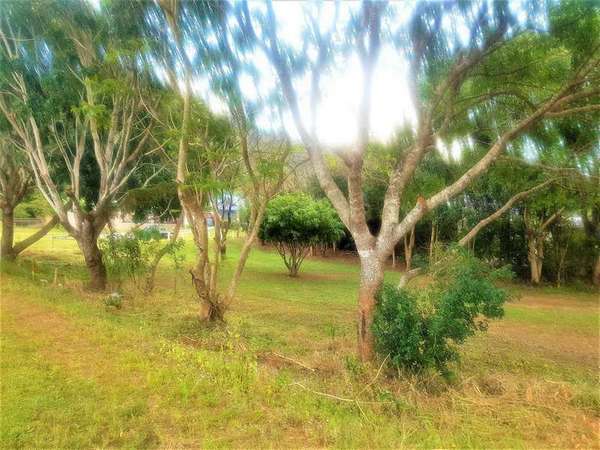 Kanimbla QLD, 4870, Kanimbla - Thumbnail 4