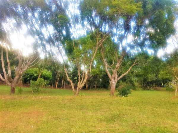 Kanimbla QLD, 4870, Kanimbla - Thumbnail 5
