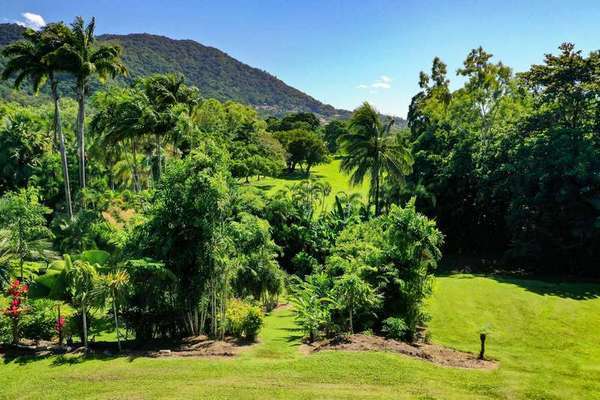 38A Granadilla  Drive, Earlville - Thumbnail 6