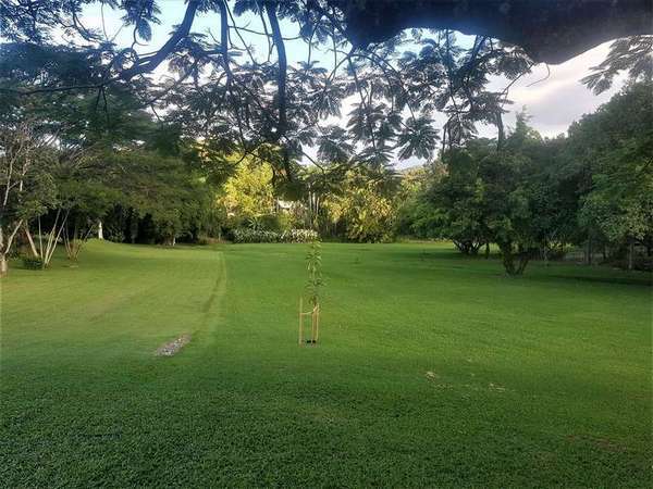 38 A Granadilla Drive, Earlville - Thumbnail 8