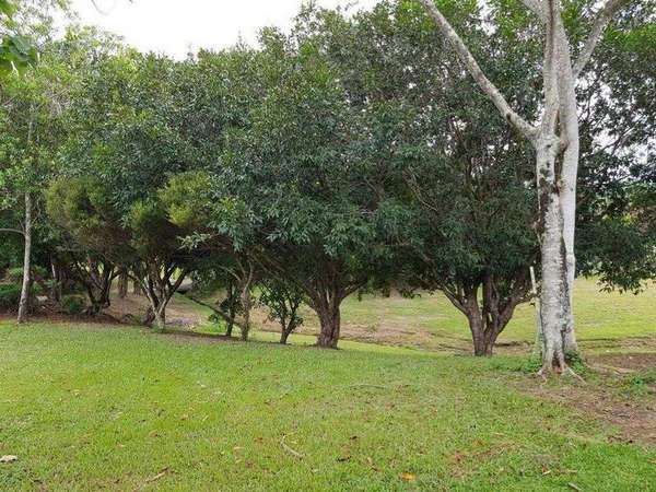 35 Sherwood Close, Brinsmead - Thumbnail 3