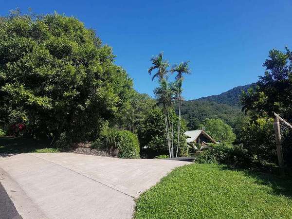 38A Granadilla  Drive, Earlville - Thumbnail 8