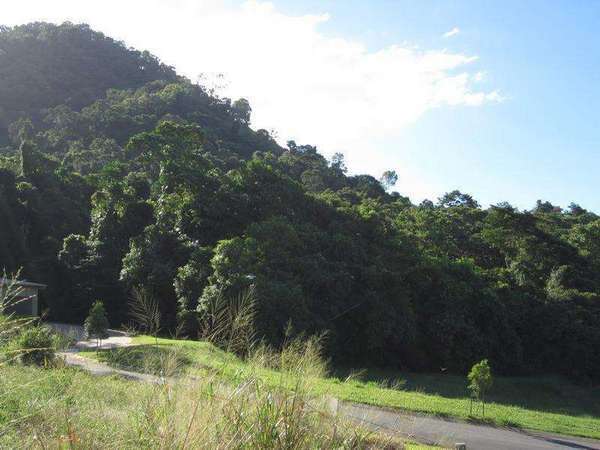 5 Celerywood Close, Mount Sheridan - Thumbnail 4
