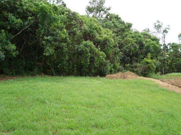 MOUNT SHERIDAN QLD, 4868, Mount Sheridan - Thumbnail 3