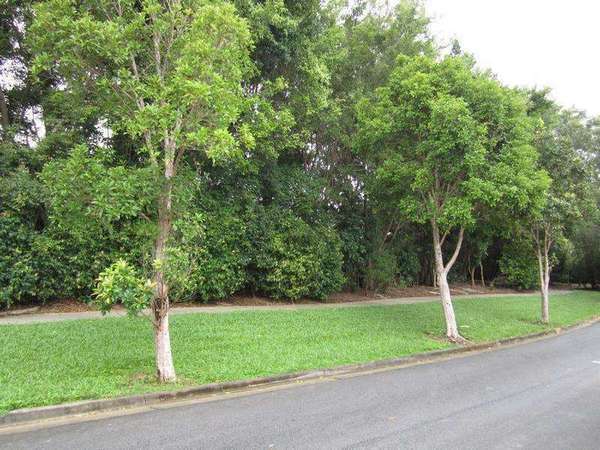 11 Alpinia Terrace, Mount Sheridan - Thumbnail 5