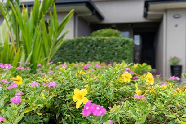 4 Benjamina Street, Mount Sheridan - Thumbnail 5