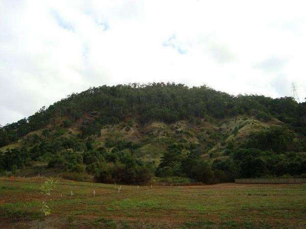 MOUNT SHERIDAN QLD, 4868, Mount Sheridan - Thumbnail 4