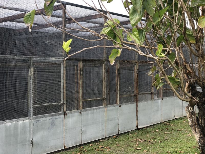 37-43 Mission Road, White Rock - Thumbnail 6