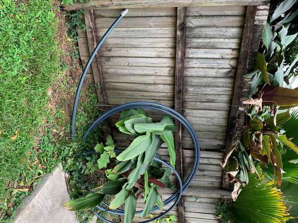 32A Old Smithfield Rd, Freshwater - Thumbnail 7