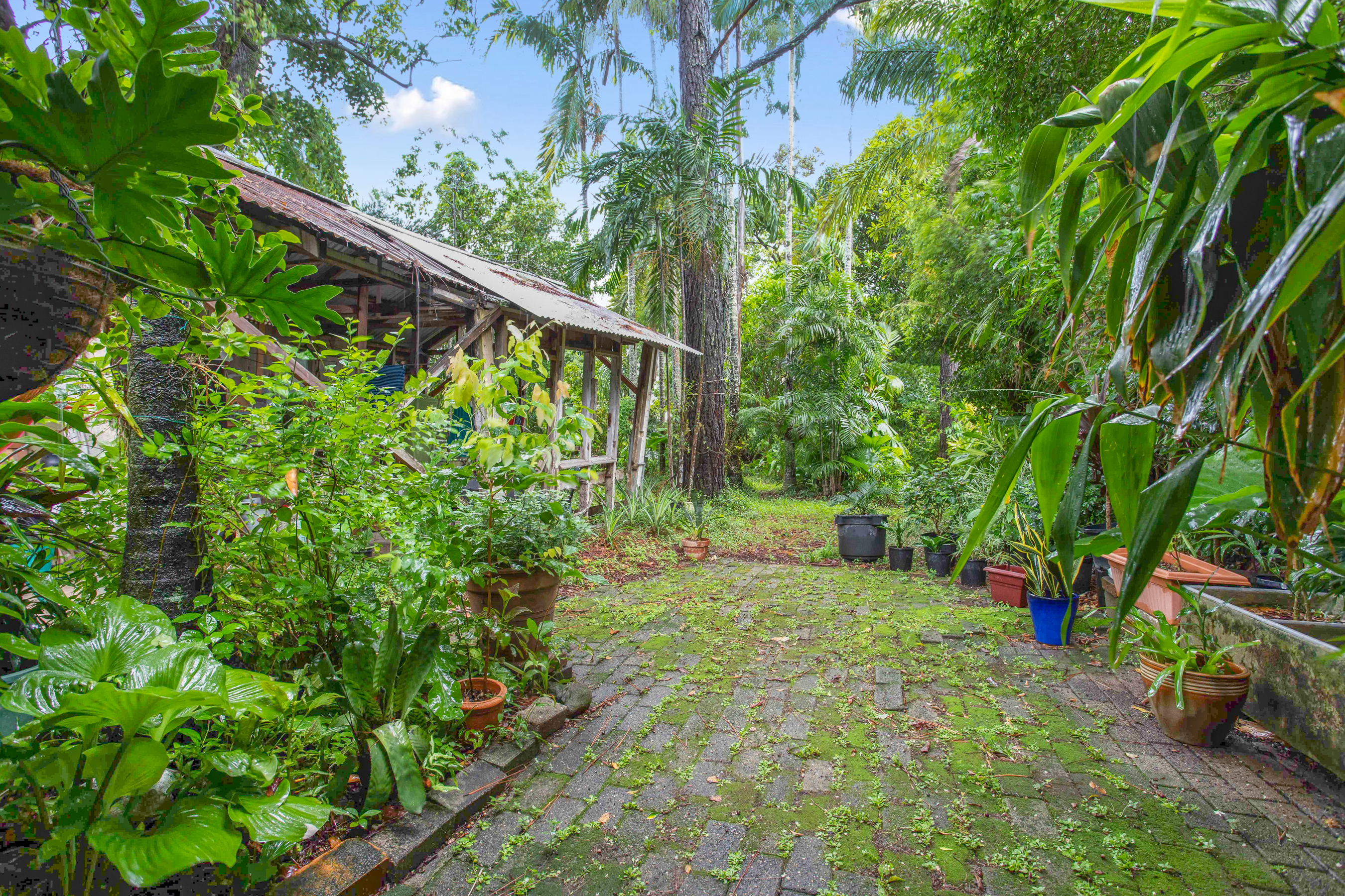 180 Martyn Street, Manunda - Thumbnail 8