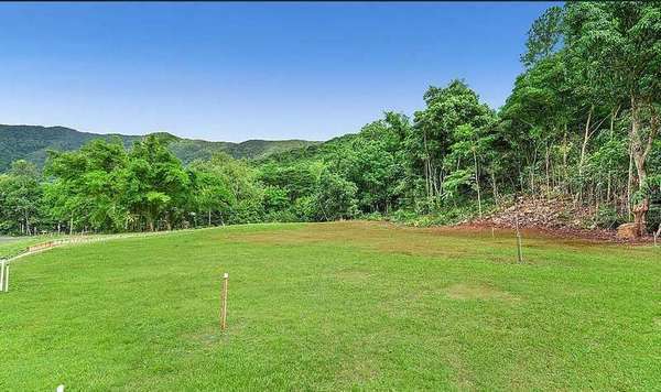 81 Harvey Road, Redlynch - Thumbnail 4
