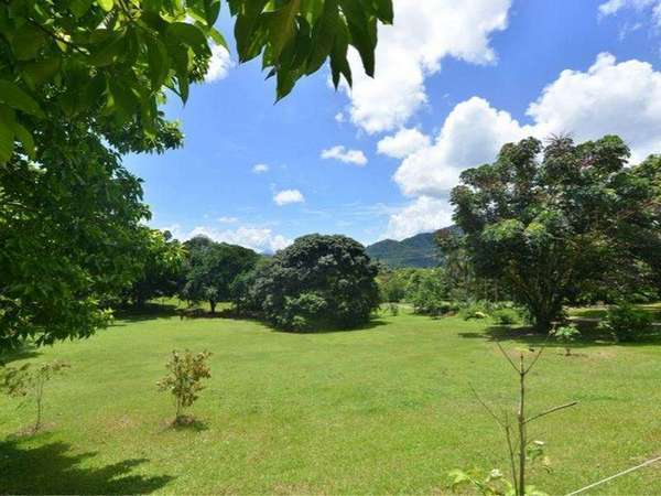 101-109 Harvey Rd, Redlynch - Thumbnail 3
