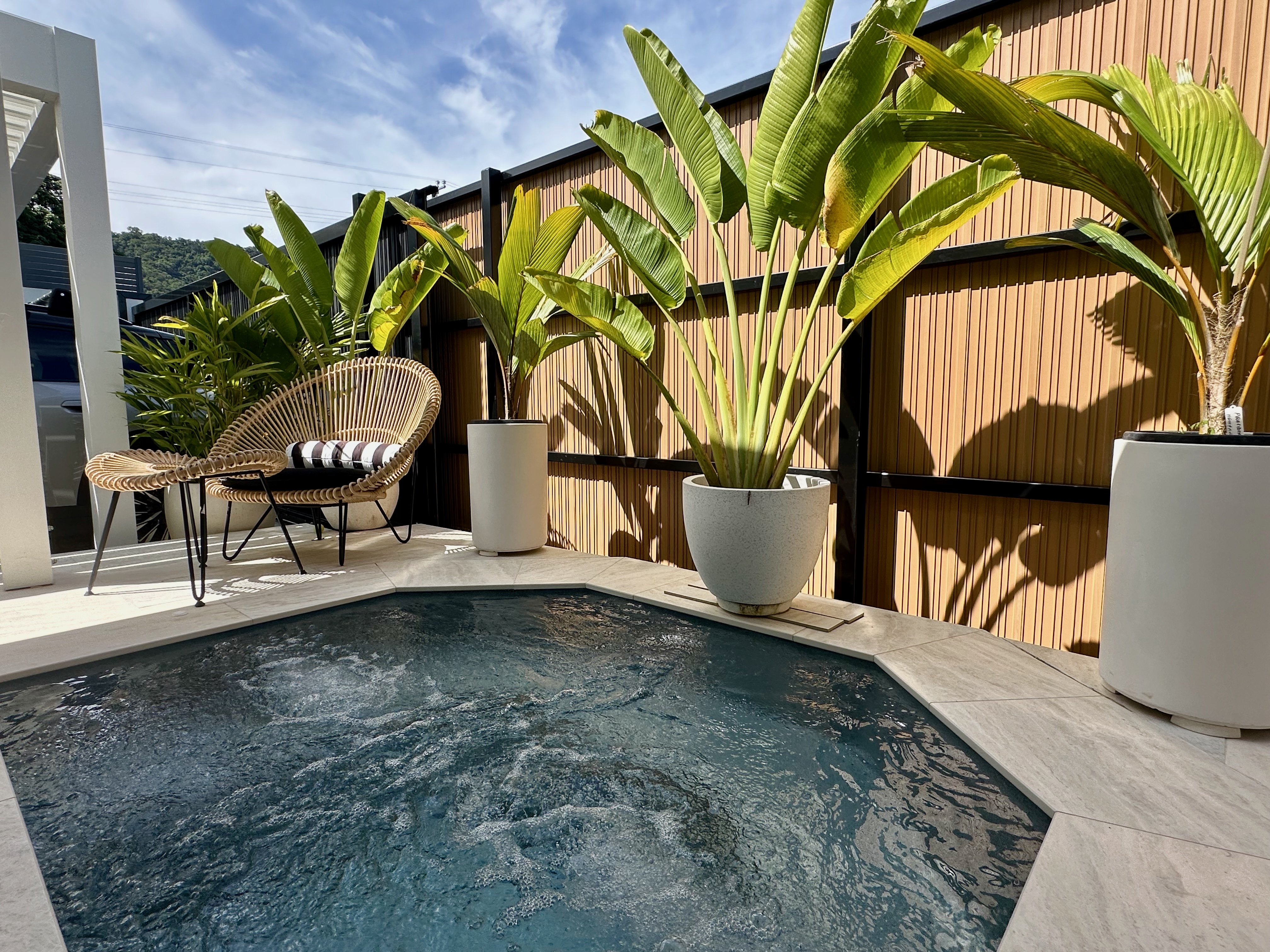 20 Clemson Avenue, Edge Hill - Thumbnail 5