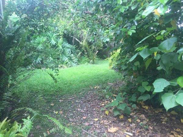 11 Glenlea St, Edge Hill - Thumbnail 8