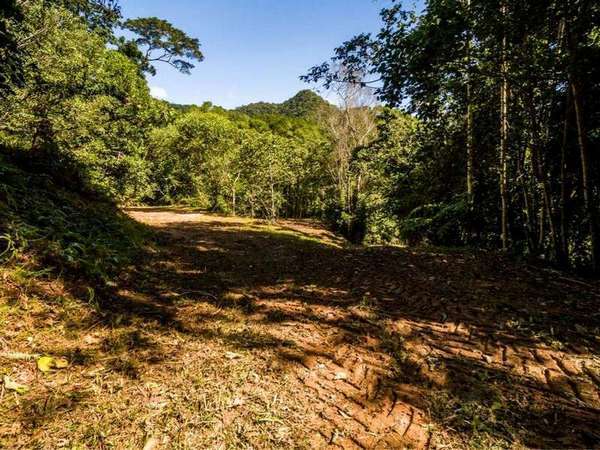 18-20 Frond Cl, Redlynch - Thumbnail 8