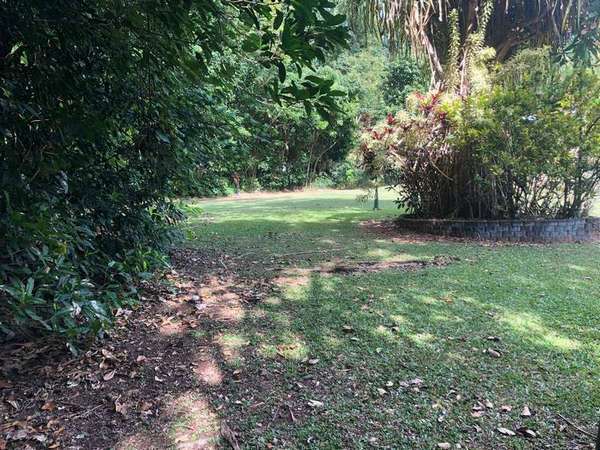 29-31 Robb Rd, Redlynch - Thumbnail 3