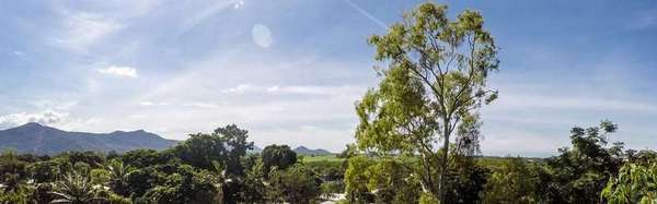 15 Dalgety St, Stratford - Thumbnail 7