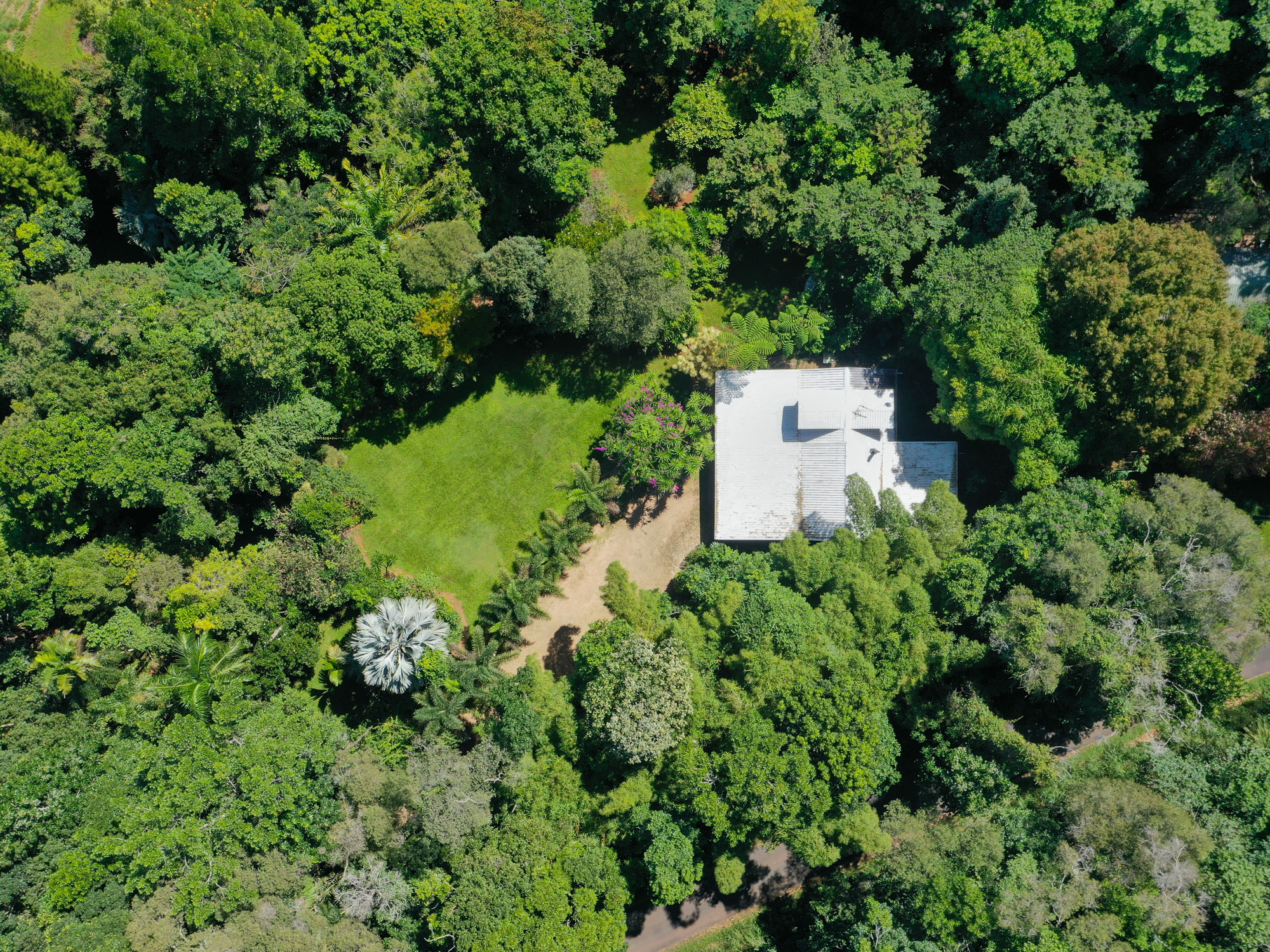 89 Gadgarra Road, Lake Barrine - Thumbnail 5