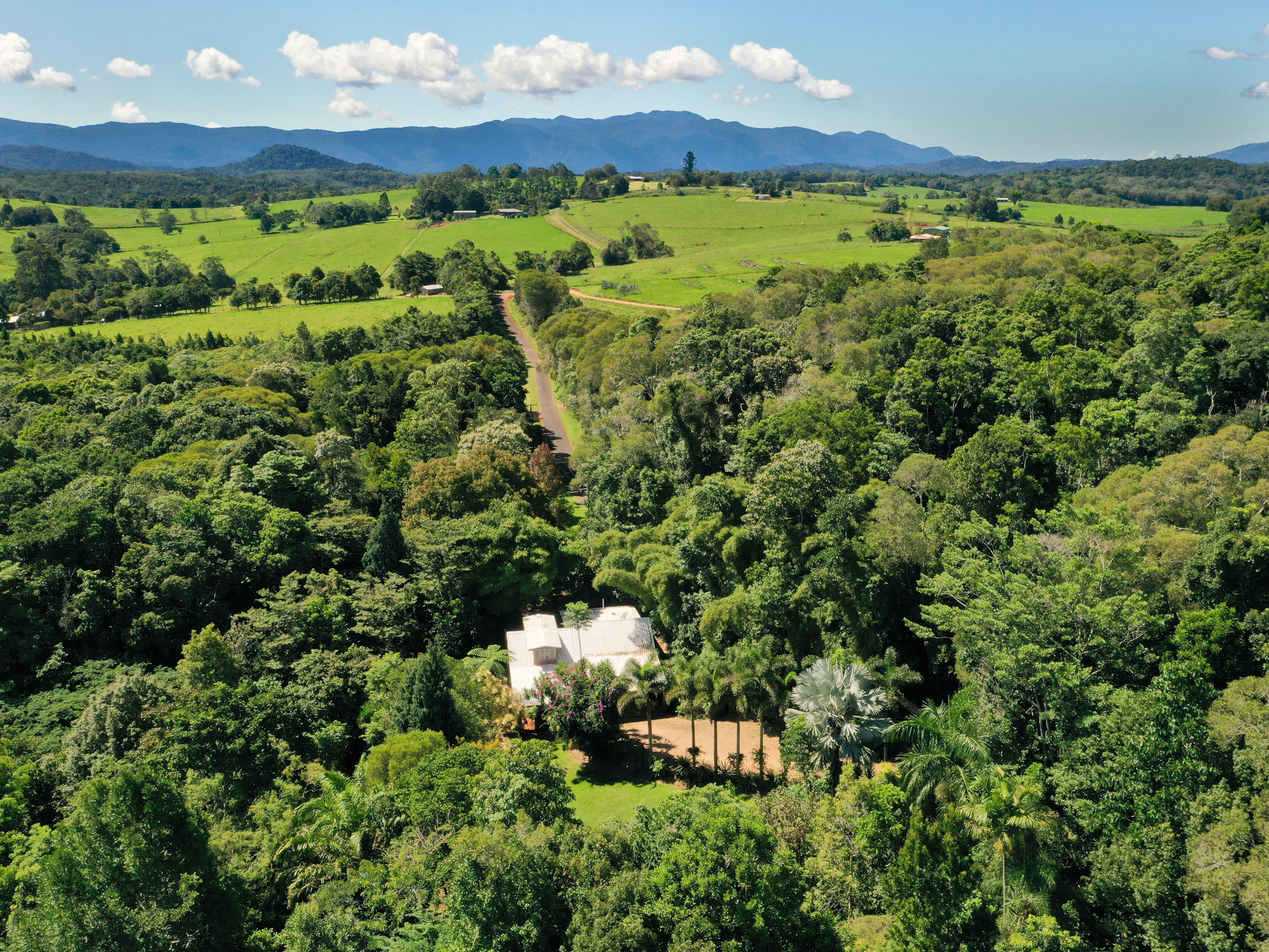 89 Gadgarra Road, Lake Barrine - Thumbnail 6