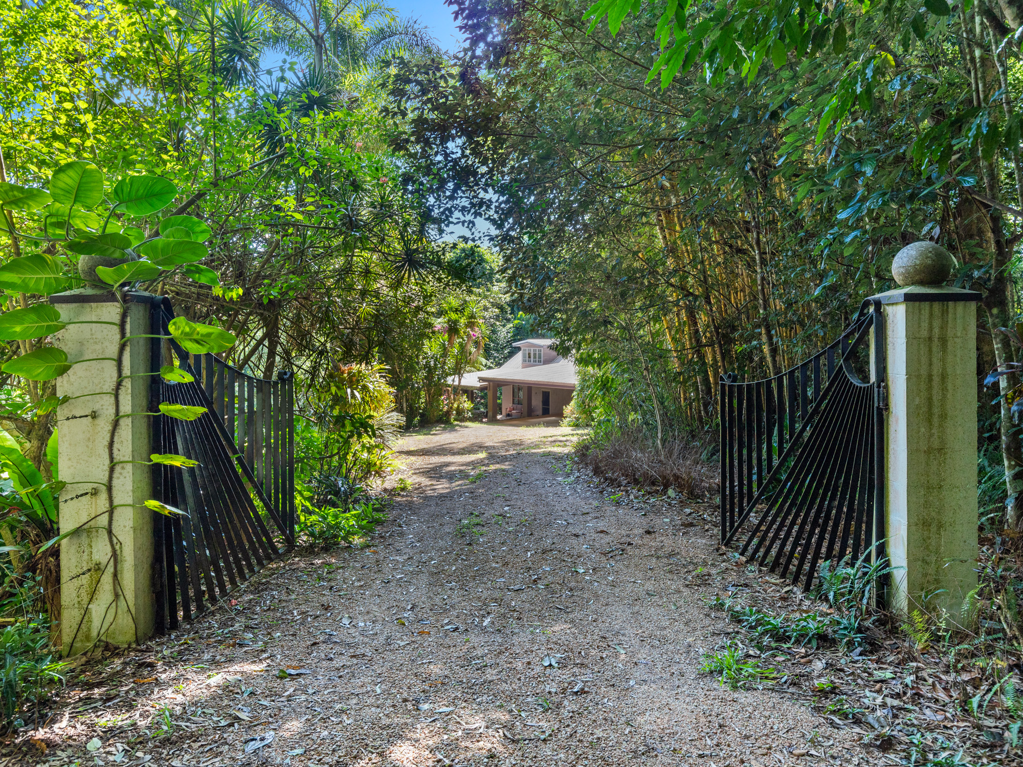 89 Gadgarra Road, Lake Barrine - Thumbnail 4