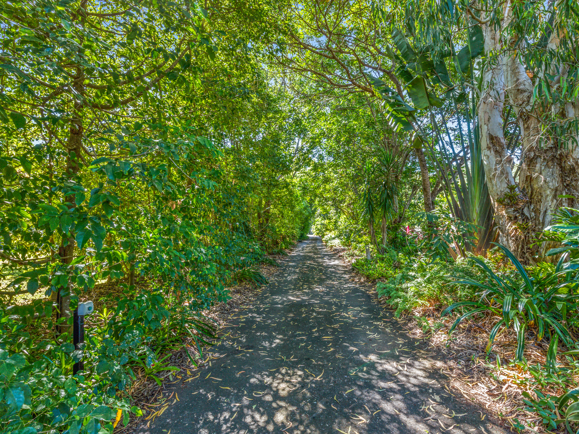 18 Evergreen Street, Clifton Beach - Thumbnail 5