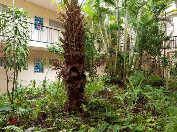 7/141 Grafton Street, Cairns - Thumbnail 4