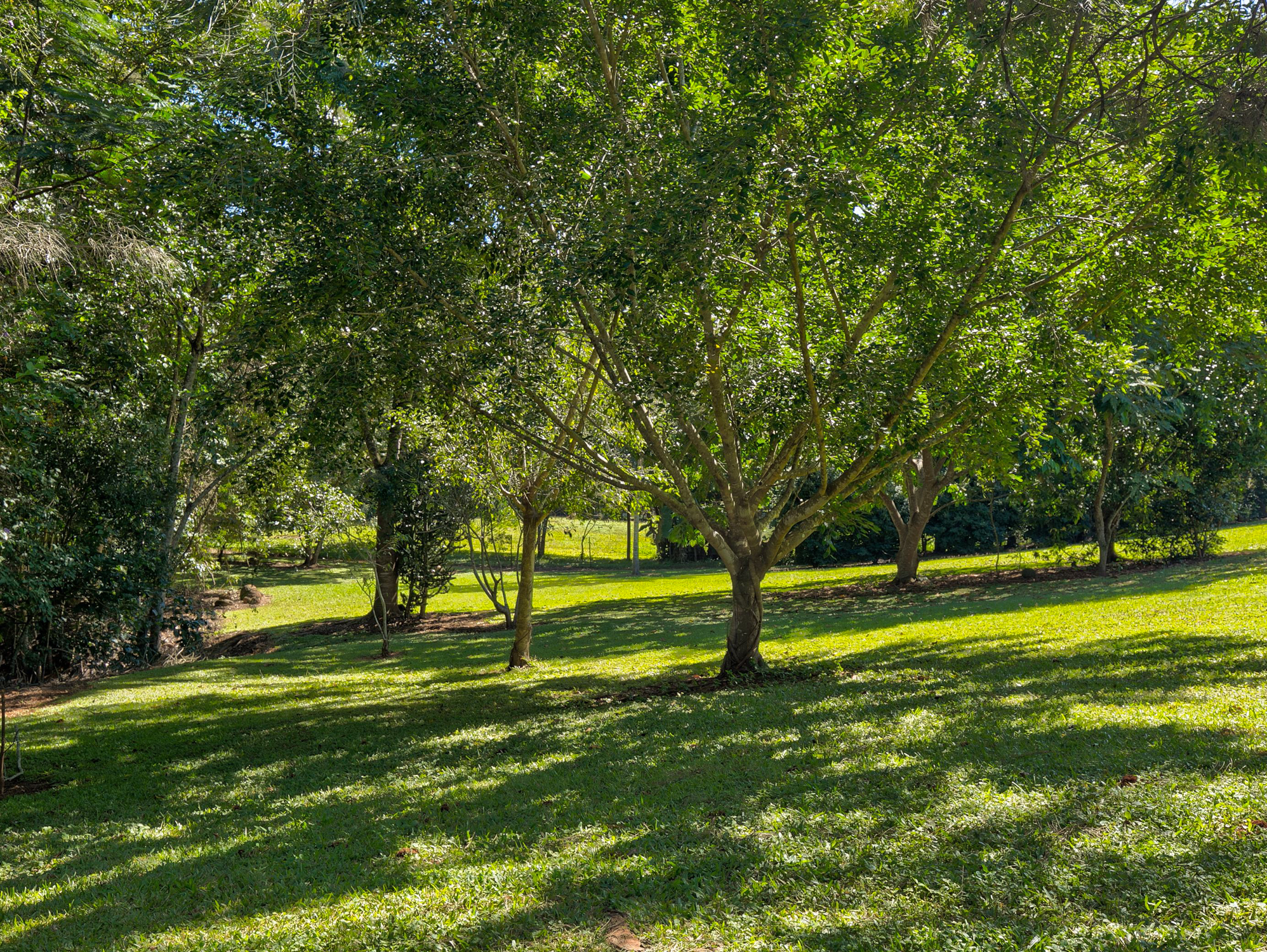 15 (Lot 21) Williamson Drive, Kuranda - Thumbnail 5