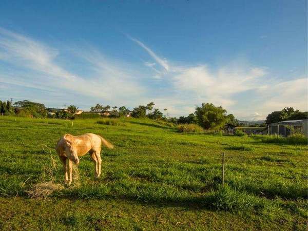 389A Palmerston Hwy, Innisfail - Thumbnail 7