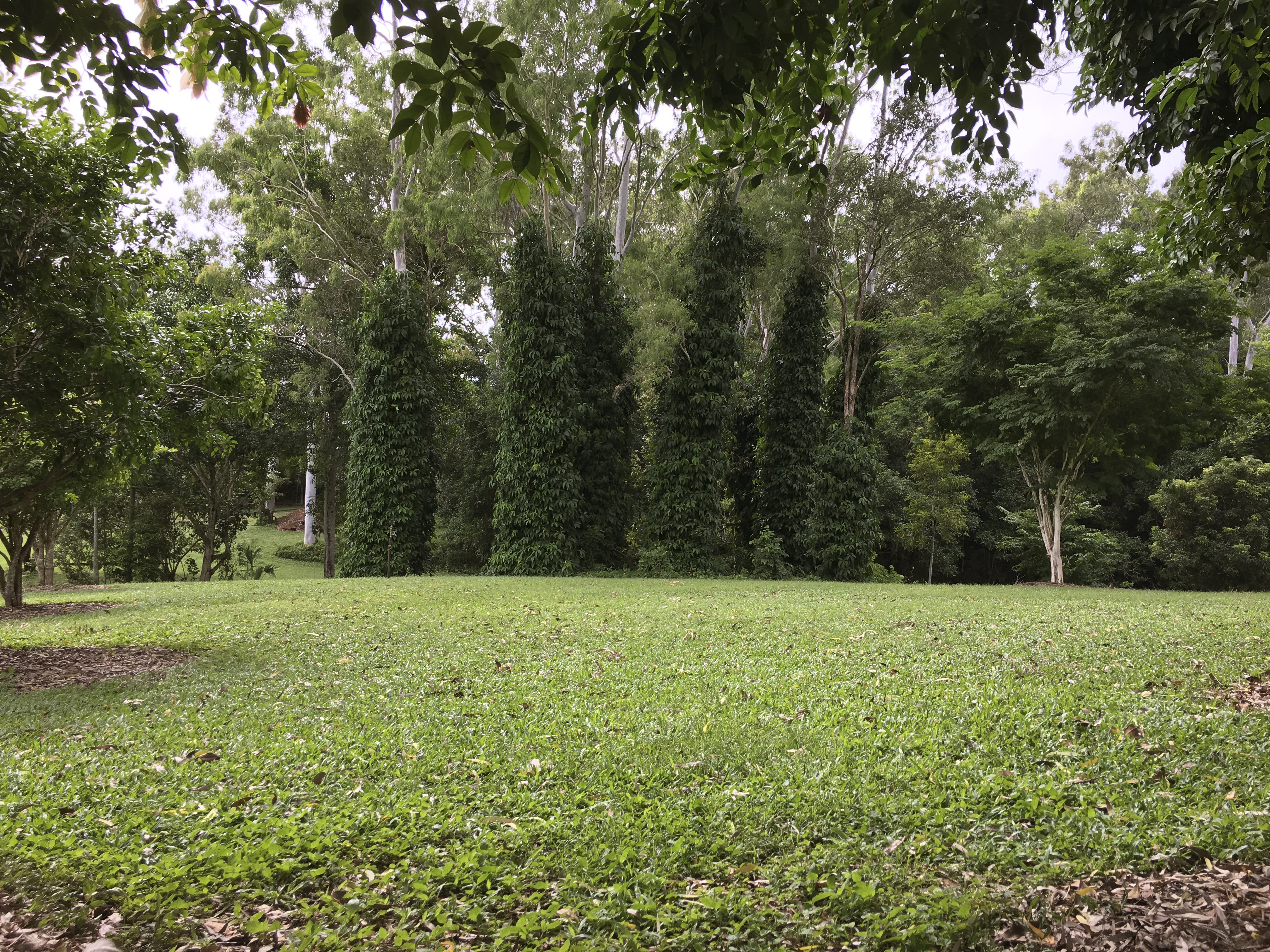 58 Plantation Dve, Edmonton - Thumbnail 8