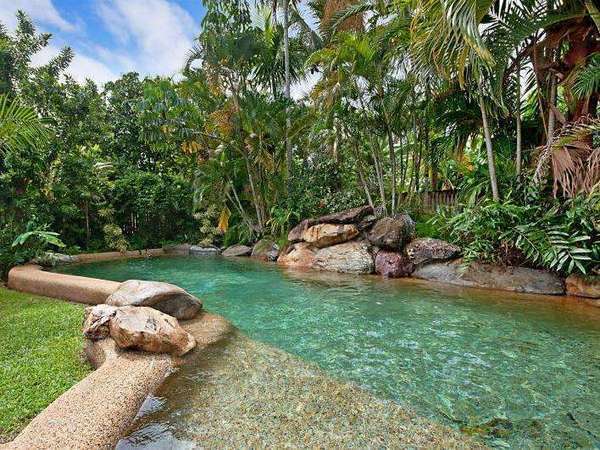5 Ficus Cl, Redlynch - Thumbnail 2