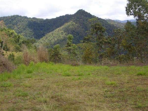 REDLYNCH QLD, 4870, Redlynch - Thumbnail 4