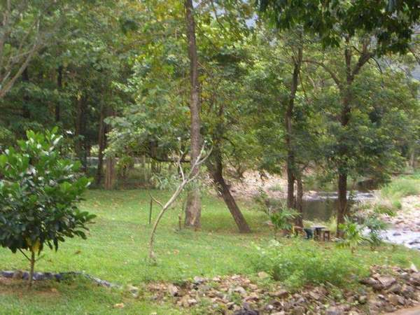 REDLYNCH QLD, 4870, Redlynch - Thumbnail 2