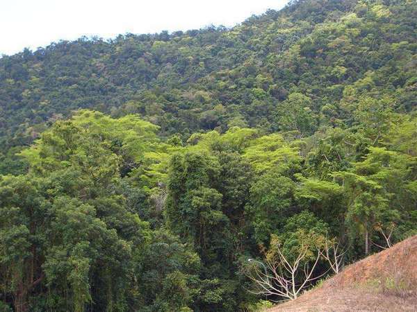 REDLYNCH QLD, 4870, Redlynch - Thumbnail 6