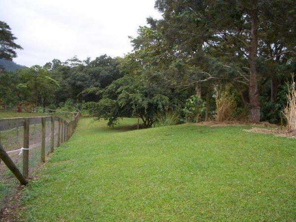 REDLYNCH QLD, 4870, Redlynch - Thumbnail 4