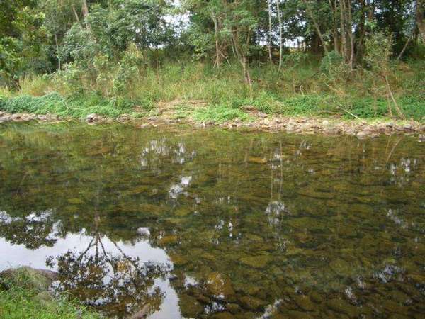 REDLYNCH QLD, 4870, Redlynch - Thumbnail 5