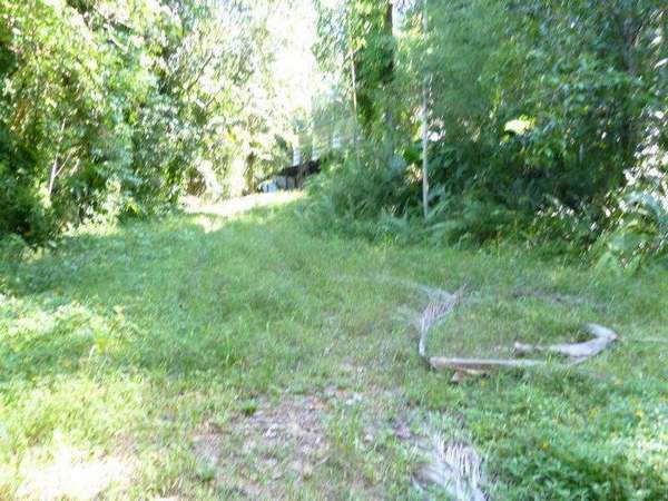 REDLYNCH QLD, 4870, Redlynch - Thumbnail 2