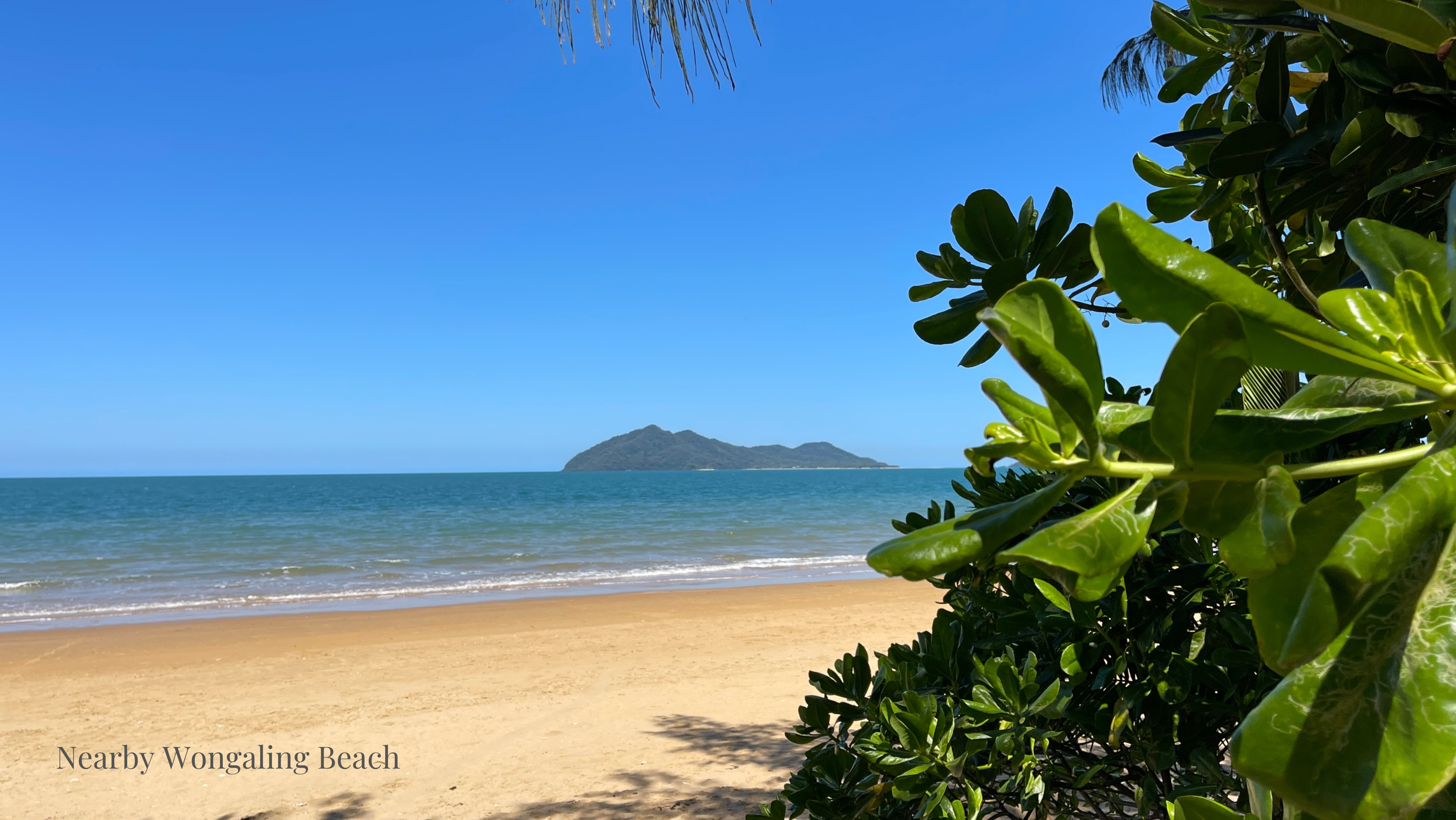 12/18-22 Giufre Crescent, Wongaling Beach - Thumbnail 5