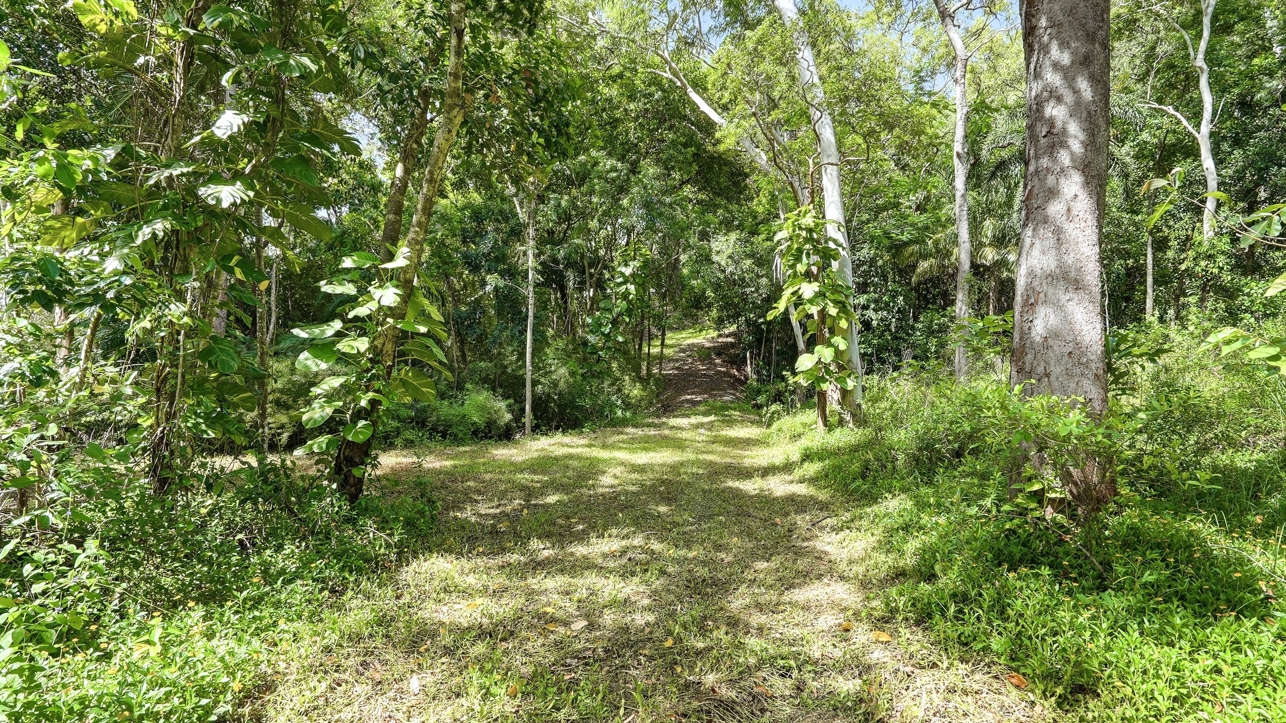 2 Pine Creek Yarrabah Road, East Trinity - Thumbnail 7
