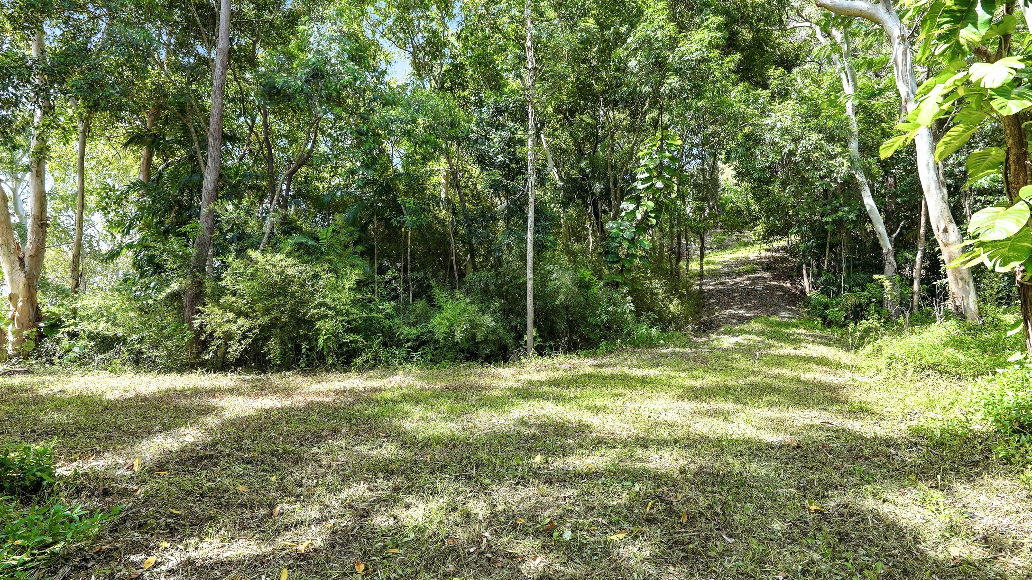 2 Pine Creek Yarrabah Road, East Trinity - Thumbnail 8