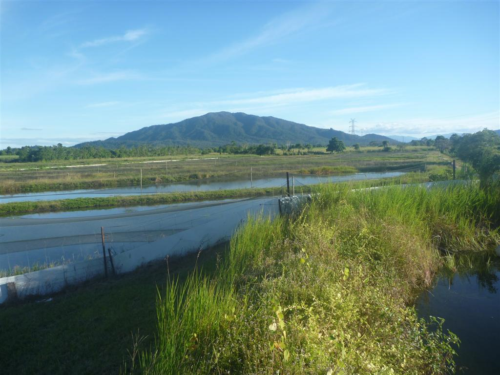 360 East Feluga Road, East Feluga - Thumbnail 4
