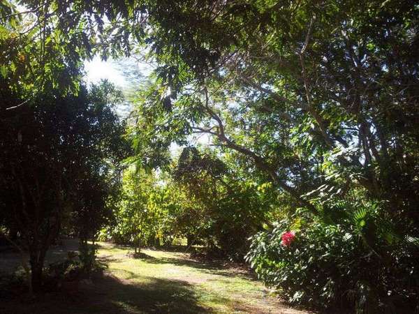8-10 Barron Street, Koah - Thumbnail 7
