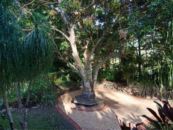 L661 Rocks Road, Redlynch - Thumbnail 8