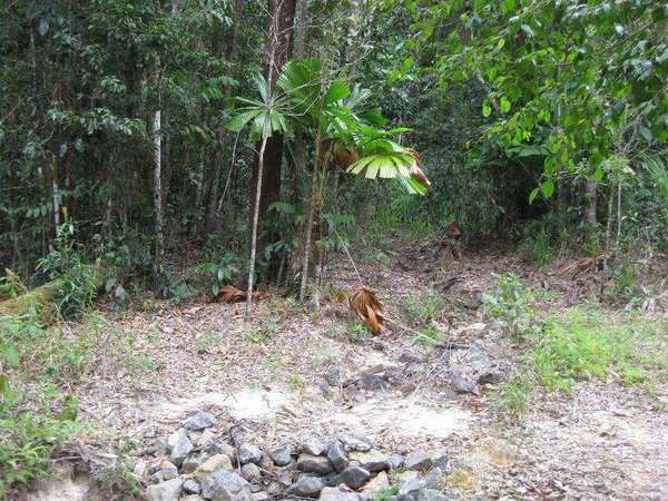 12 Thornton Peak Drive, Forest Creek - Thumbnail 5