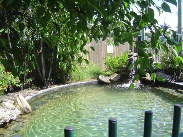 BUNGALOW QLD, 4870, Bungalow - Thumbnail 3