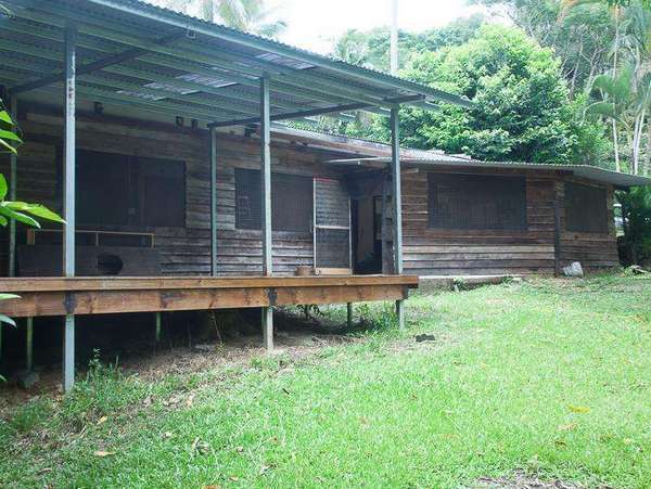 441 Cape Tribulation Road, Forest Creek - Thumbnail 5