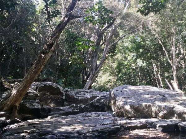 Kuranda QLD, 4881, Kuranda - Thumbnail 5