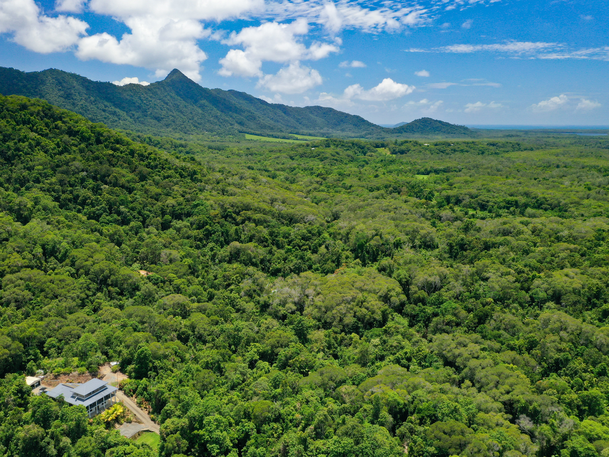 246 Forest Creek Rd, Forest Creek - Thumbnail 7