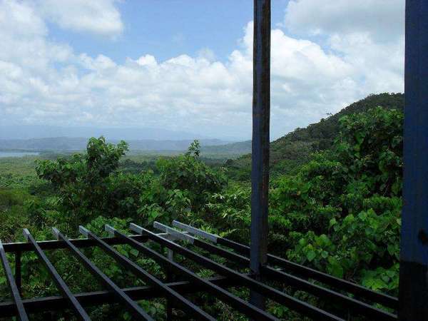65 Kimberley Road, Daintree - Thumbnail 4